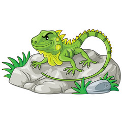 Iguana Cartoon
Illustration of cute cartoon iguana.