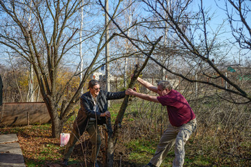 Two men are grubbing tree roots at the rural garden.