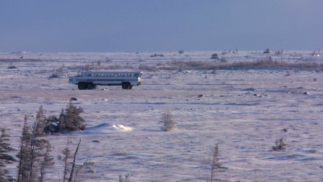 An arctic crawler tundra buggy moves across the frozen expanse of Hudson bay, Canada.