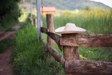 straw cowboy hat