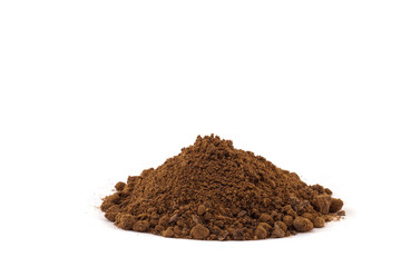 Growing young plant isolate on white background.