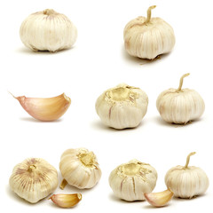 Collections of Garlic isolated on white background