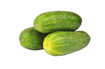 Fresh green cucumber gherkin, isolated on a white background