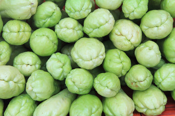 Obraz premium Fresh Chayote