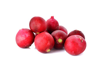 fresh red radish on white background