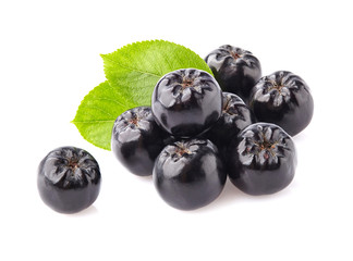 Chokeberry with leaves