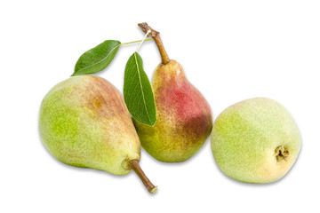 Three pear Bartlett on a light background