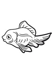goldfish small sweet cute pet