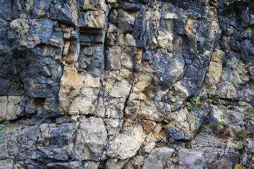 Texture of a stone