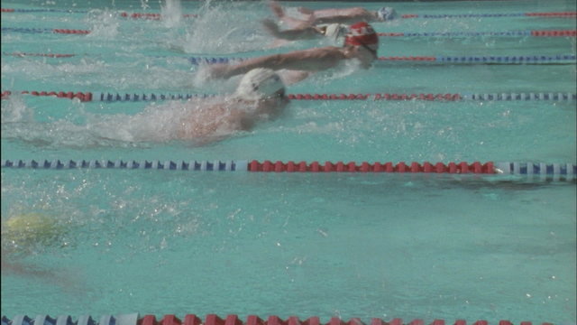 Male swimmers compete in butterfly style race in a swimming pool.
