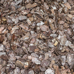 Flakes of bark