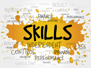 SKILLS word cloud, business concept