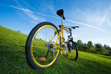 Fototapeta na wymiar Bike on the meadow,
