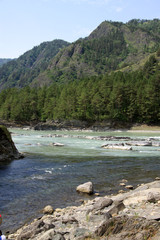 SIBERIA, RUSSIA - JUNE 11, 2012: Mountain river Katun, Altai mountains, Russia
