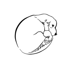 Sketch of dogs. Vector illustration.