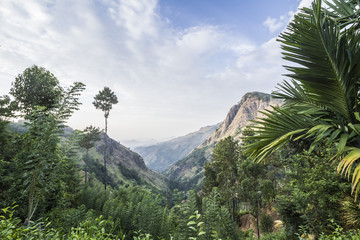 Mountain view landscape in Ella, Sri Lanka