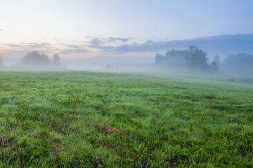 Grassland at foggy dawn