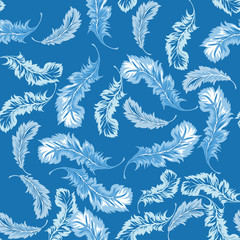 decorative Feather