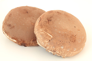 Two raw portobello mushrooms. Ready for cooking.
