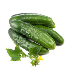 cucumber