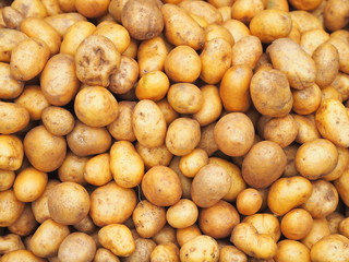 Pile of small potatoes at farmers market.