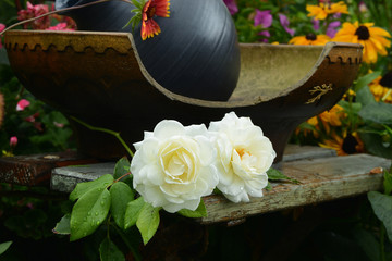 Garten 478