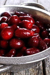 Dogwood berries