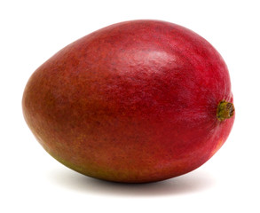 Mango fruit