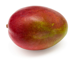 Mango fruit