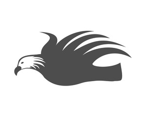 Eagle Fly