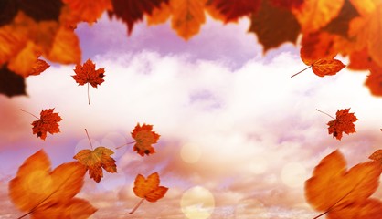 Composite image of autumn leaves pattern