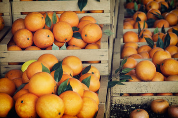 Fresh oranges in the wooden boxes