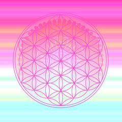 Blume des Lebens - Farbenspiel mit Mandala