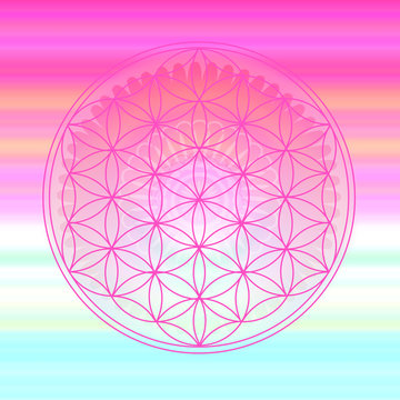 Blume des Lebens - Farbenspiel mit Mandala