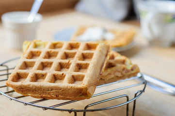 Zuccini hash brown waffles with sour cream