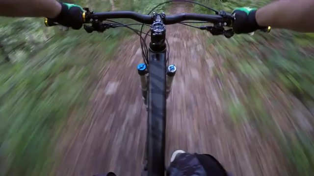POV 4K Mountain biker riding on a forest trail
