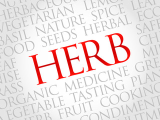 HERB word cloud, health concept