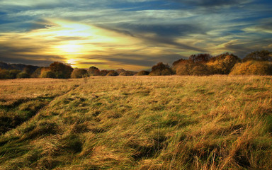 Obraz premium Wild Windy Sunset In The Fields