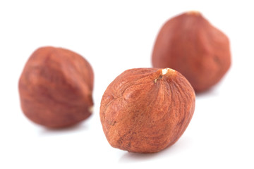 Three hazelnuts isolated