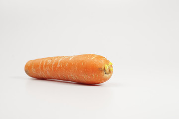 Fresh Carrots