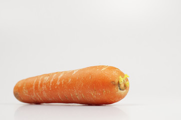 Fresh Carrots