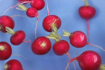 Schwimmende Radieschen