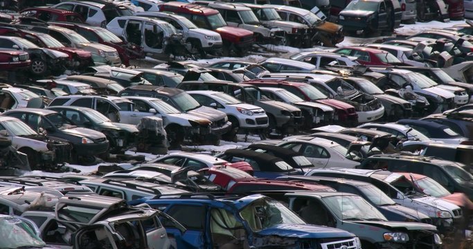 Cars sit in rows in a junkyard in the snow.