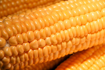 Fresh corn cereal close-up