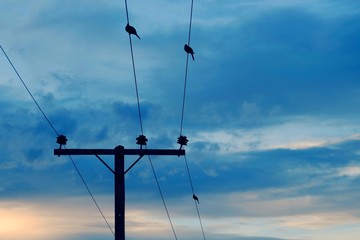 electricity post and blue sky