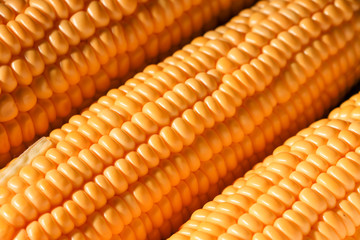 Fresh corn cereal close-up