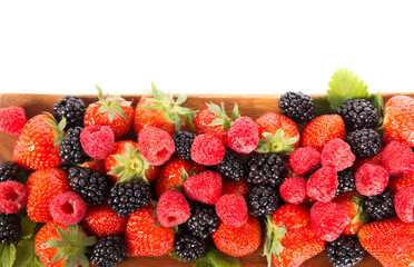 Berries: blackberry, strawberry, raspberry