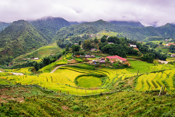 landscape view of rice terrace at cat cat village in sapa