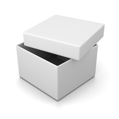 Open White Box
