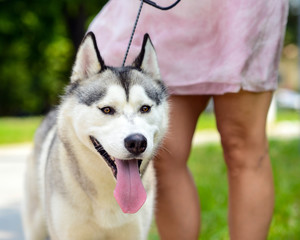 Woman walking with her dog
